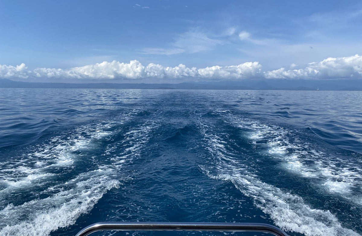 New and Used Boats for Sale in Gold Coast Bosuns Locker